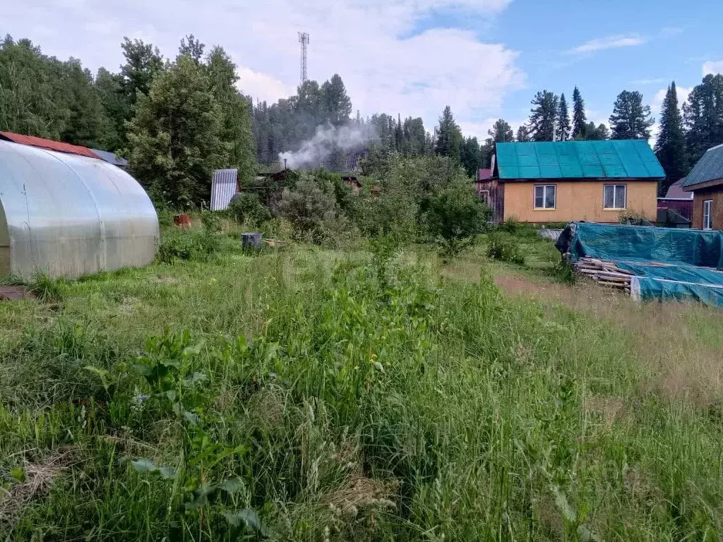 Дом в Алтай, Турочакский район, с. Иогач Дачная ул., 2 (52 м) - Фото 2