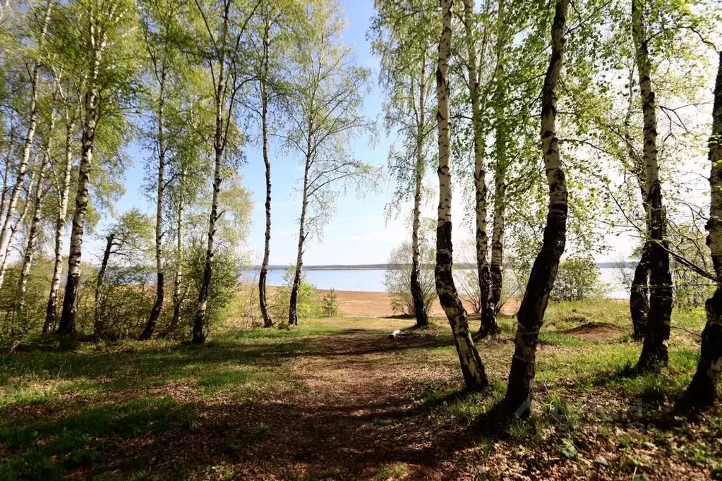 Участок в Иркутская область, Иркутский муниципальный округ, д. ... - Фото 1