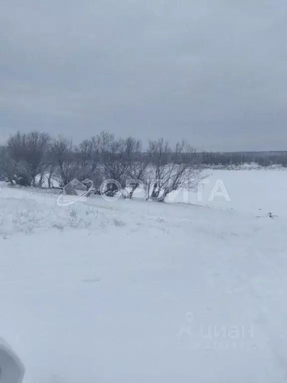 Участок в Тюменская область, Тюменский муниципальный округ, Каменское ... - Фото 1