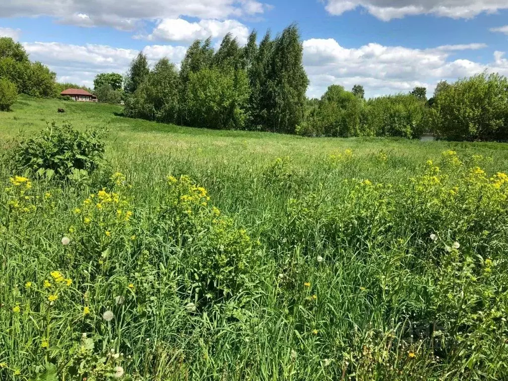 Участок в Нижегородская область, Сосновский муниципальный округ, с. ... - Фото 1