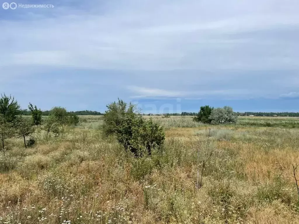 Участок в Азовский район, Задонское сельское поселение, дачное ... - Фото 1