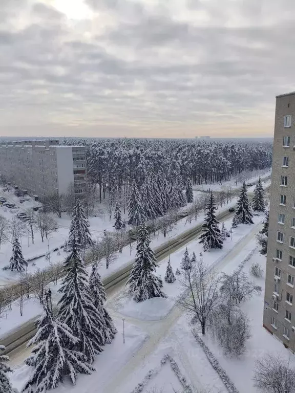 2-к кв. Пензенская область, Заречный просп. 30-летия Победы, 39 (43.9 ... - Фото 1