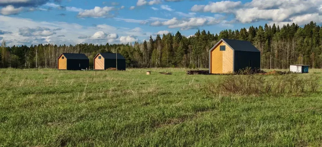 Дом в Пермский край, д. Качка ул. Архангельская (55 м) - Фото 1
