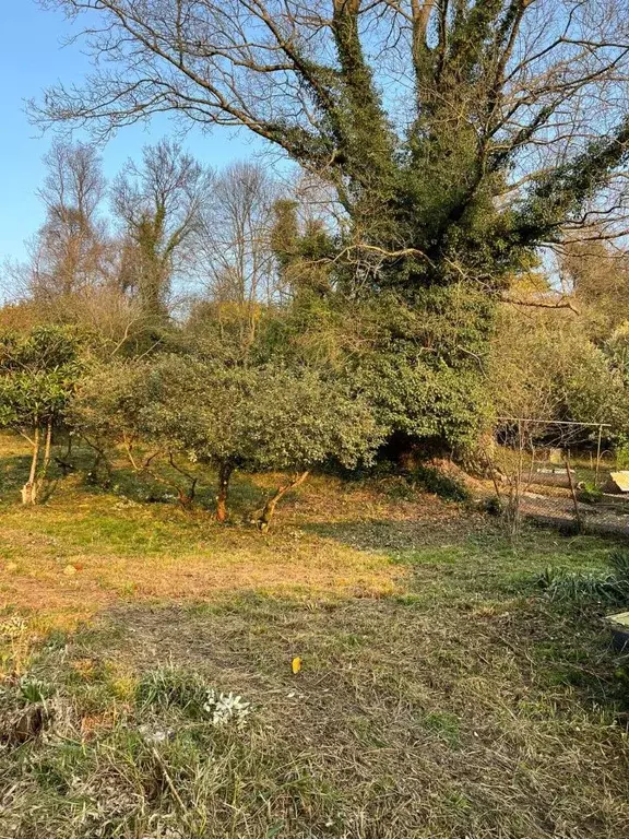 Участок в Краснодарский край, Сочи пос. Вардане,  (5.0 сот.) - Фото 2