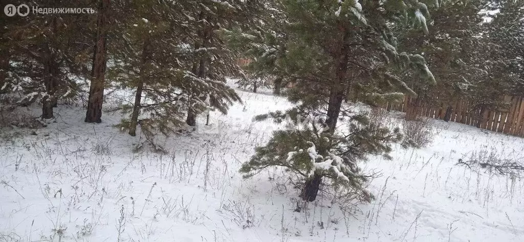 Участок в Улан-Удэ, Кадалинская улица 4-й проезд, 13 (8 м) - Фото 2