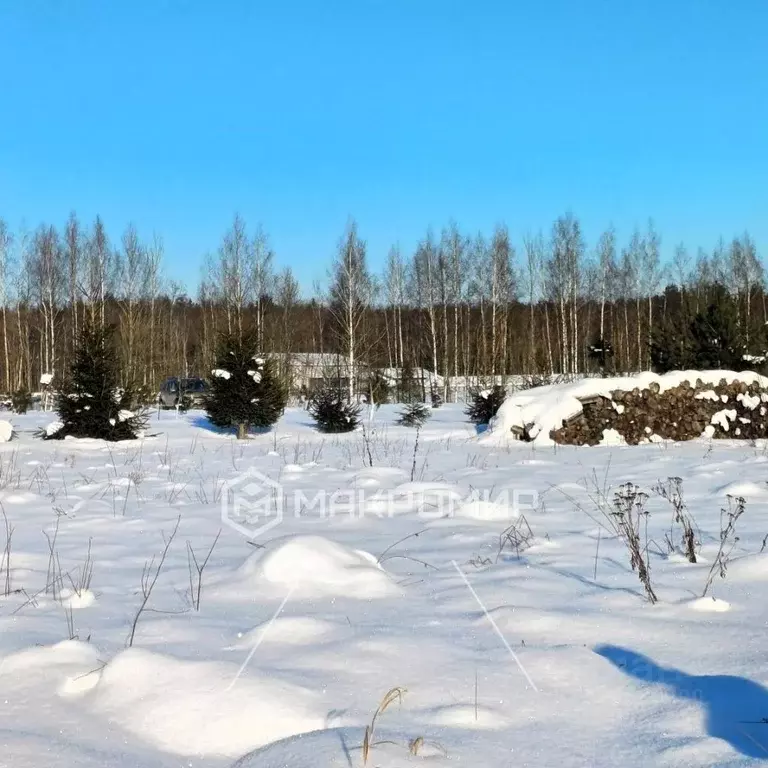 Участок в Ленинградская область, Ломоносовский район, Горбунковское ... - Фото 1