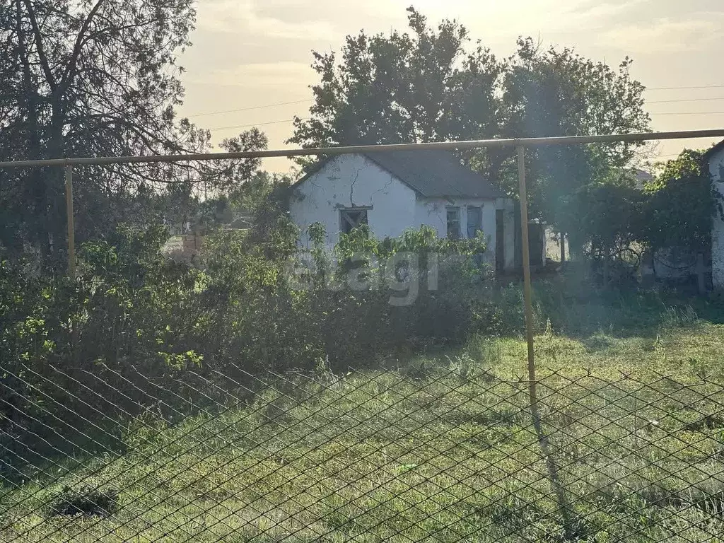 Участок в Крым, Раздольненский район, Березовское с/пос, с. Березовка ... - Фото 1