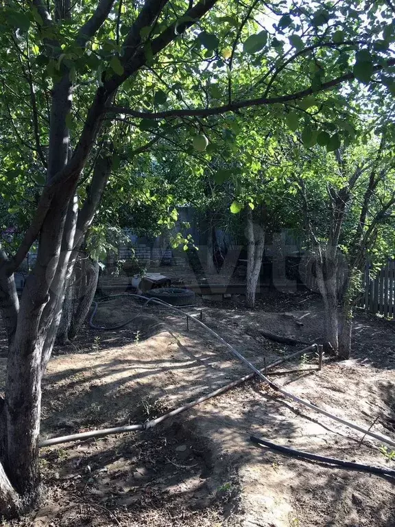 Дача 40 м на участке 8 сот. - Фото 1