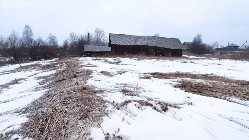 Участок в Пермский край, Чернушинский муниципальный округ, деревня ... - Фото 2