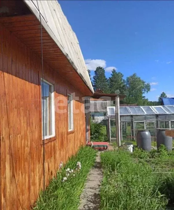 Дом в Томская область, Шегарский район, Дорожник-2 СНТ ул. № 1 (60 м) - Фото 1