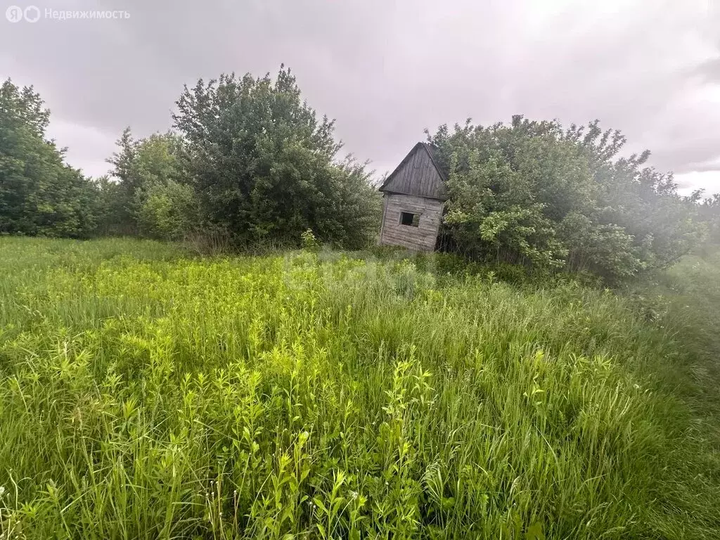 Участок в посёлок Путёвка, территория садоводческого общества Снежка ... - Фото 2