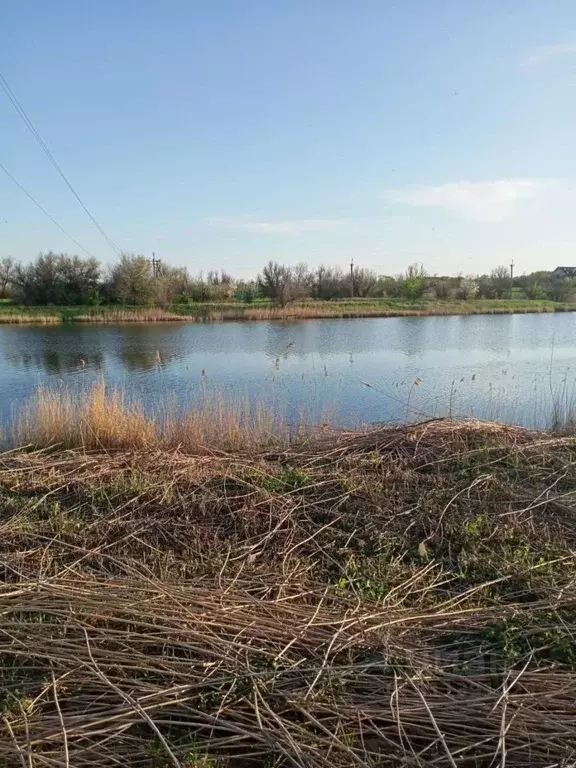 Участок в Ростовская область, Кагальницкий район, Иваново-Шамшевское ... - Фото 1