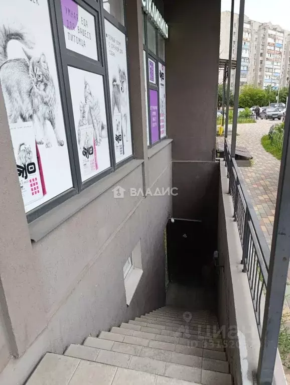 Помещение свободного назначения в Воронежская область, Воронеж ... - Фото 1