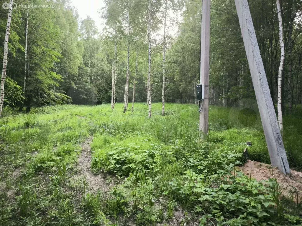 Участок в Костромской район, Середняковское сельское поселение, ... - Фото 1