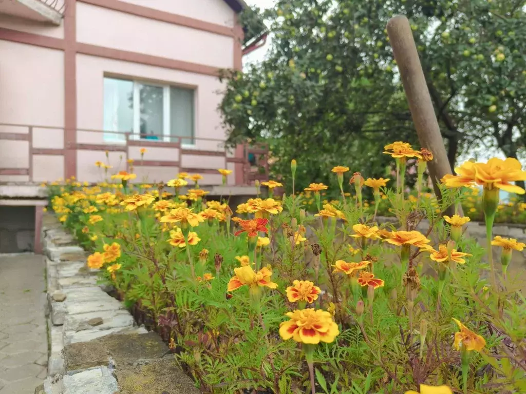 Коттедж в Московская область, Ленинский городской округ, д. Спасское ... - Фото 2