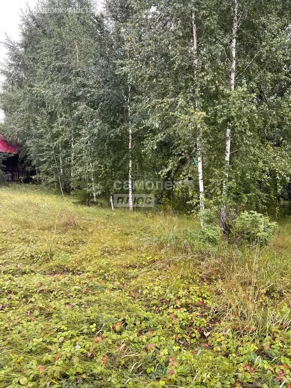 Участок в село Красный Яр, Садовая улица, 4 (16 м) - Фото 1