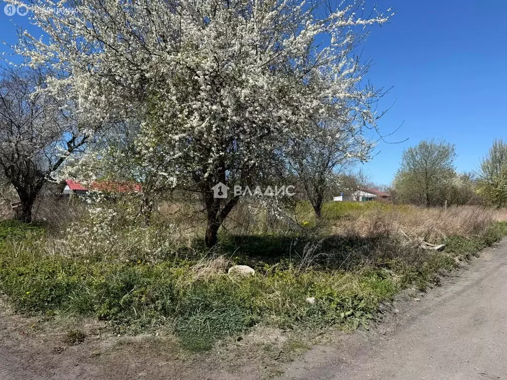 Участок в Балтийск, СНТ Труд, Прибрежная улица (6.55 м) - Фото 1
