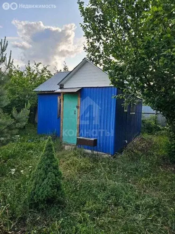 Дом в село Новая Усмань, СНТ Отрада, Заречная улица, 28 (59 м) - Фото 0
