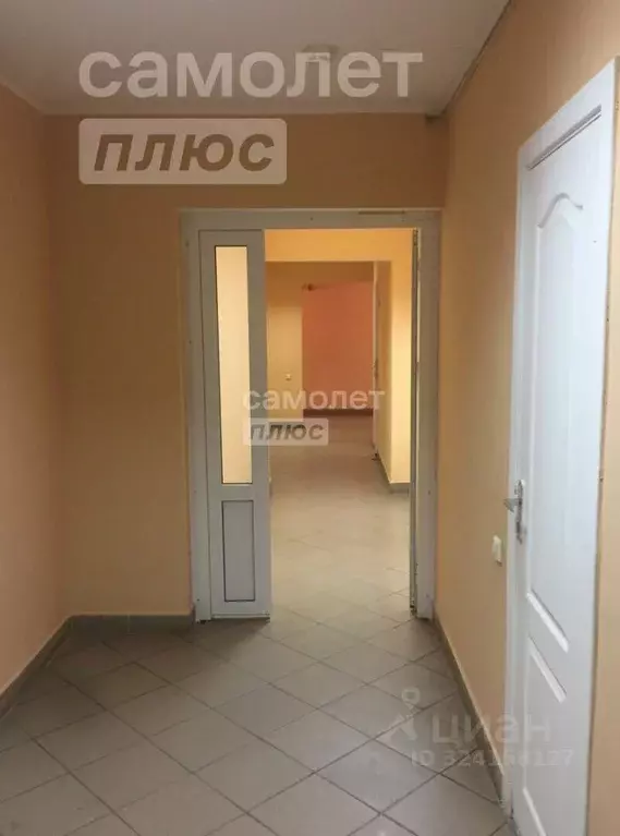 Офис в Липецкая область, Липецк ул. Фрунзе, 43 (21 м) - Фото 2