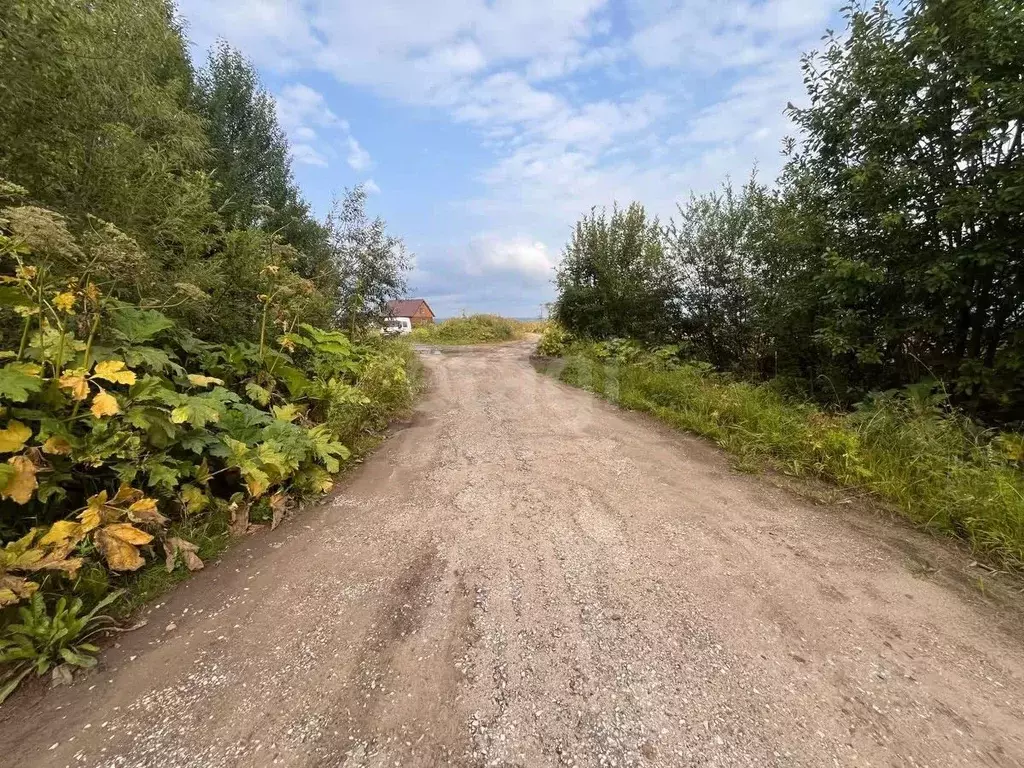 Участок в Коми, Сыктывдинский район, Зеленец муниципальное ... - Фото 0