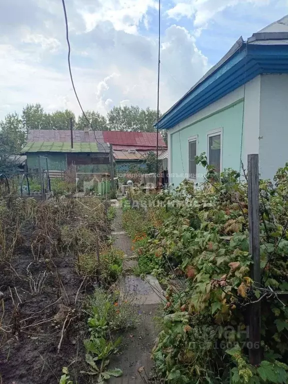 Дом в Кемеровская область, Кемерово ул. Гончарова (59 м) - Фото 1