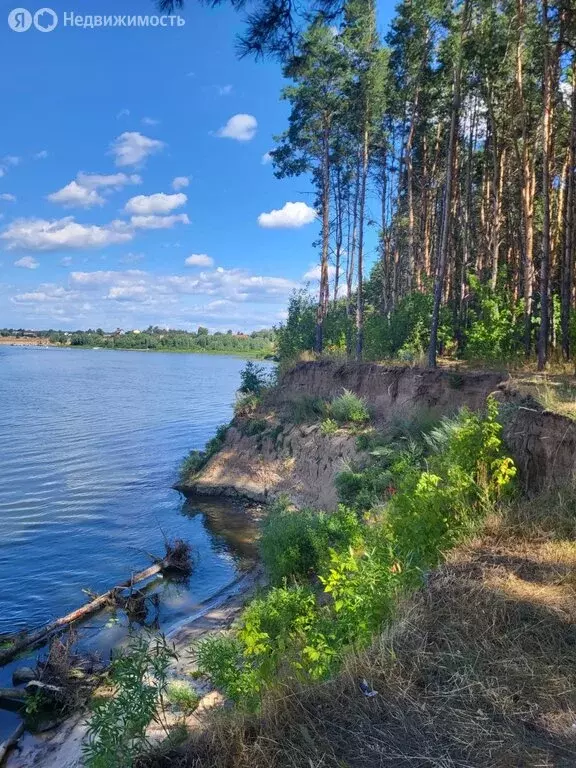 Дом в посёлок городского типа Белоомут, Зелёная улица, 17А (77 м) - Фото 1