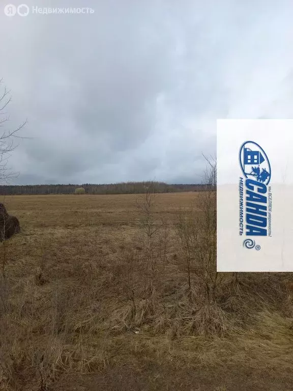 Участок в Тверская область, Калининский муниципальный округ, деревня ... - Фото 2