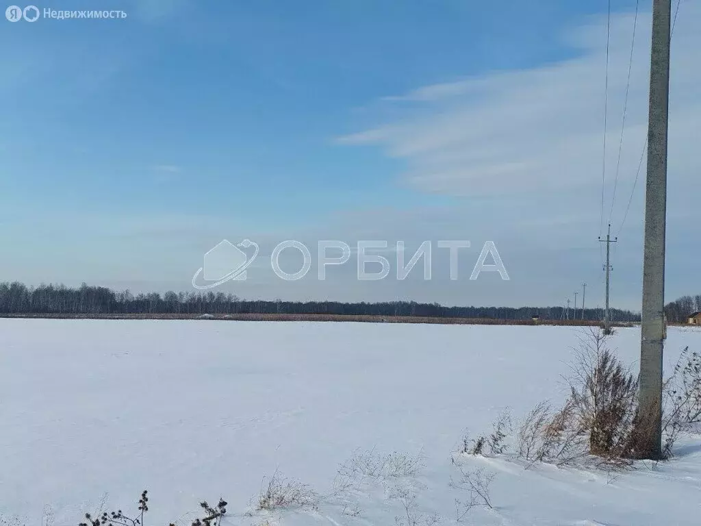 Участок в Нижнетавдинский район, село Черепаново (8 м) - Фото 1