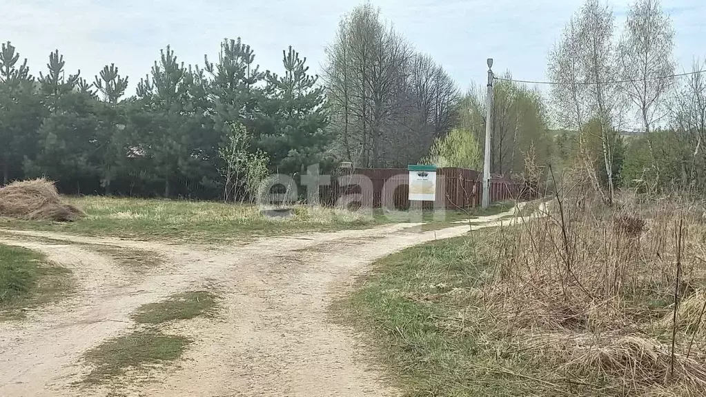 Участок в Тульская область, Дубенский район, Воскресенское ... - Фото 1