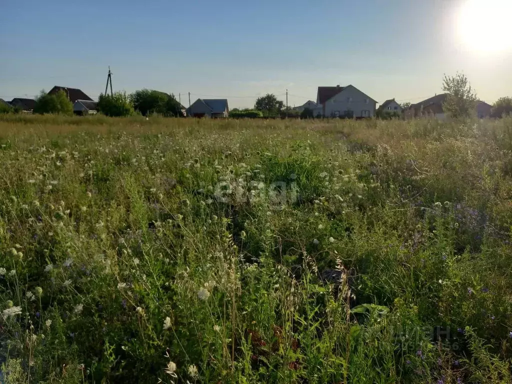 Участок в Белгородская область, Губкинский городской округ, с. Аверино ... - Фото 1