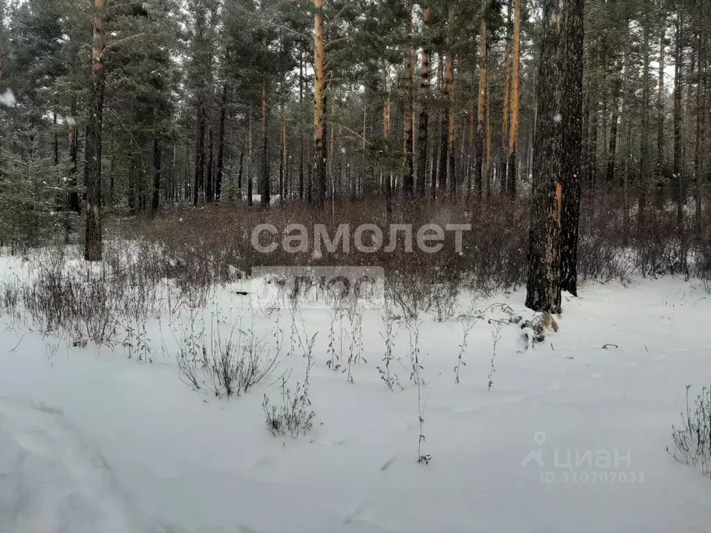 Участок в Забайкальский край, Читинский район, Атамановка пгт  (10.0 ... - Фото 0