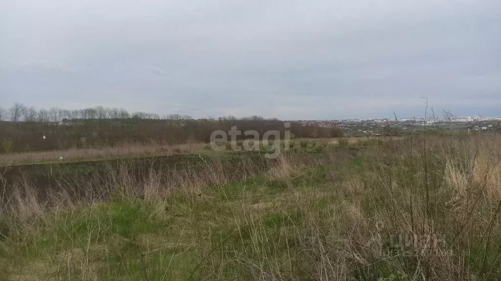 Участок в Белгородская область, Ракитянский район, Дмитриевское с/пос, ... - Фото 0
