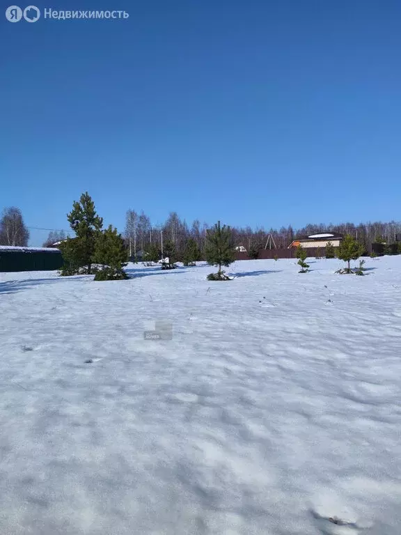 Участок в Московская область, Раменский муниципальный округ, ДНТ ... - Фото 2