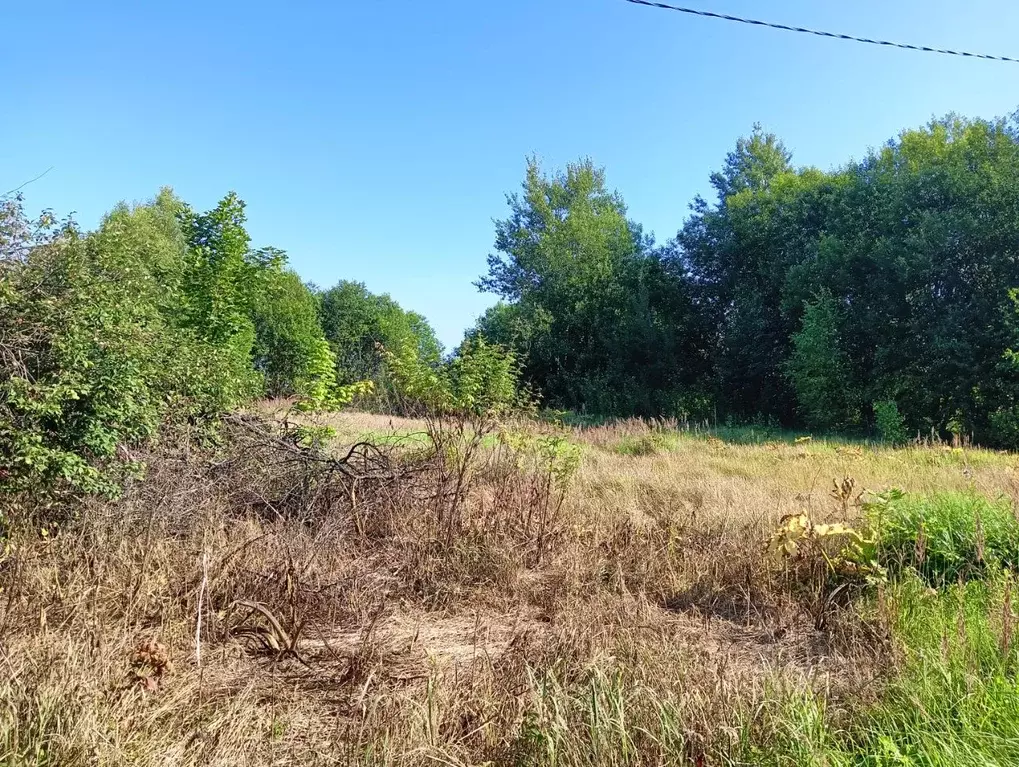 Участок в Московская область, Клин городской округ, д. Елгозино  ... - Фото 0