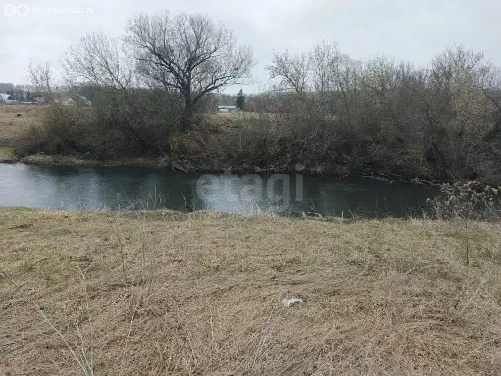 Дом в Щёкинский район, сельское поселение Крапивенское, слобода ... - Фото 2