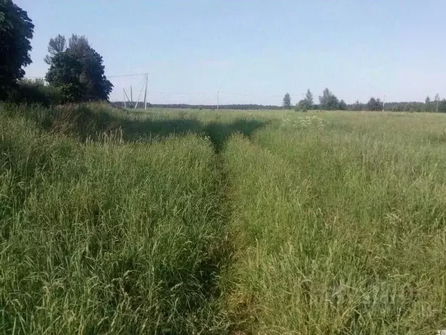 Участок в Тверская область, Калининский муниципальный округ, д. ... - Фото 2