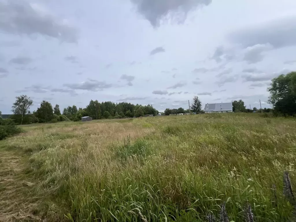Участок в Владимирская область, Судогодский район, д. Михалево ... - Фото 1