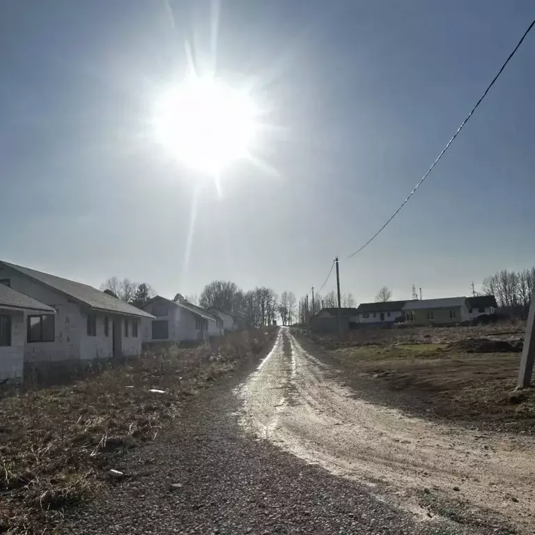 Участок в Ленинградская область, Кингисеппский район, Большелуцкое ... - Фото 2