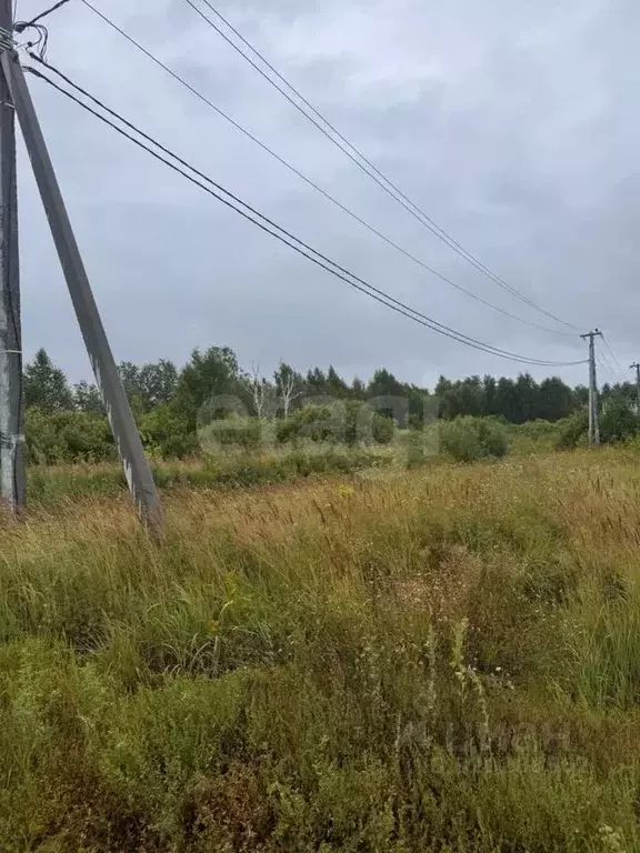 Участок в Курганская область, Шадринск ул. Фофанова, 20 (9.69 сот.) - Фото 1