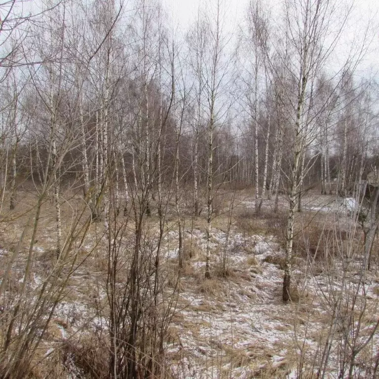 Участок в Московская область, Коломна городской округ, д. Мякинино  ... - Фото 0