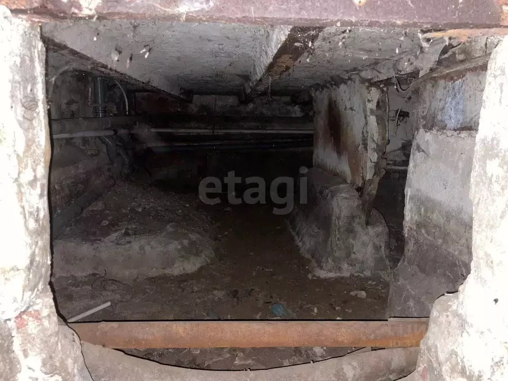 Помещение свободного назначения в Санкт-Петербург Старо-Петергофский ... - Фото 1