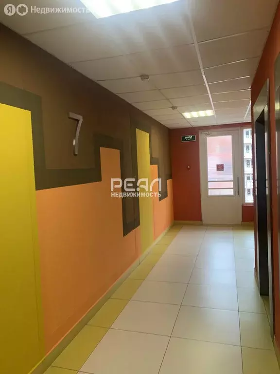 Квартира-студия: Санкт-Петербург, проспект Ветеранов, 173к7 (25 м) - Фото 1