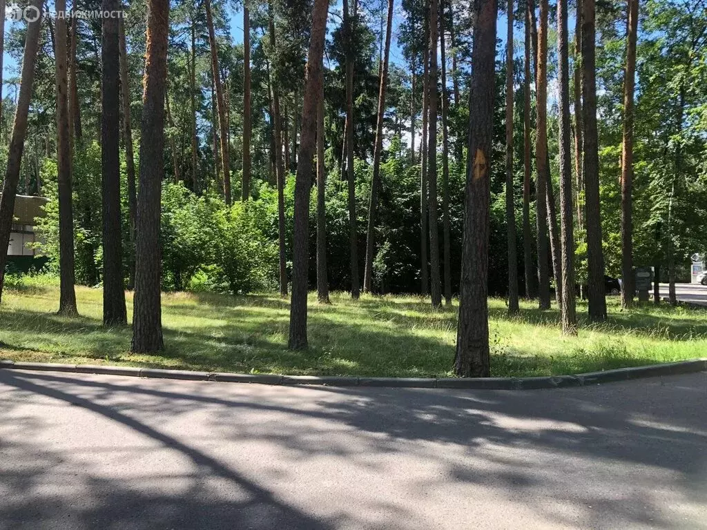 Участок в Московская область, Одинцовский городской округ, хутор ... - Фото 1