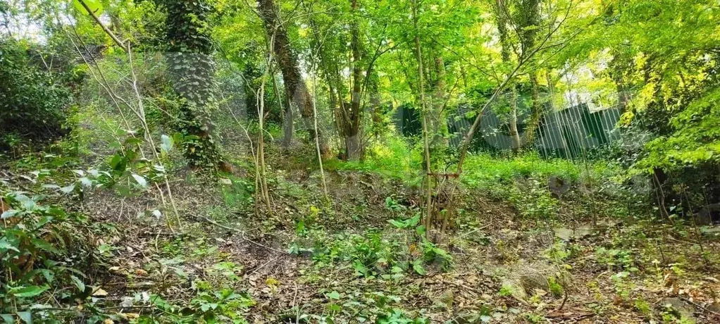 Участок в Крым, Ялта ул. Мисхорская, 6к2 (5.0 сот.) - Фото 2