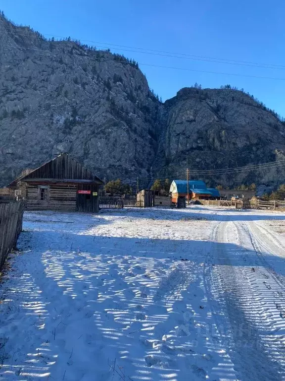 Дом в Алтай, Чемальский район, с. Еланда Катунская ул. (55 м) - Фото 0