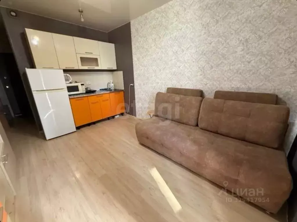 Студия Красноярский край, Красноярск Караульная ул., 39 (29.1 м) - Фото 2