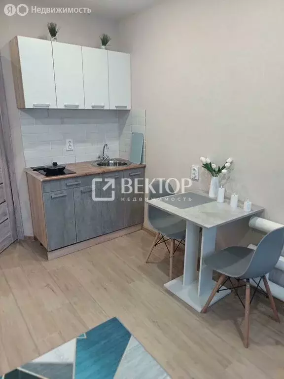 Квартира-студия: Иваново, улица Кудряшова, 100 (24 м) - Фото 2