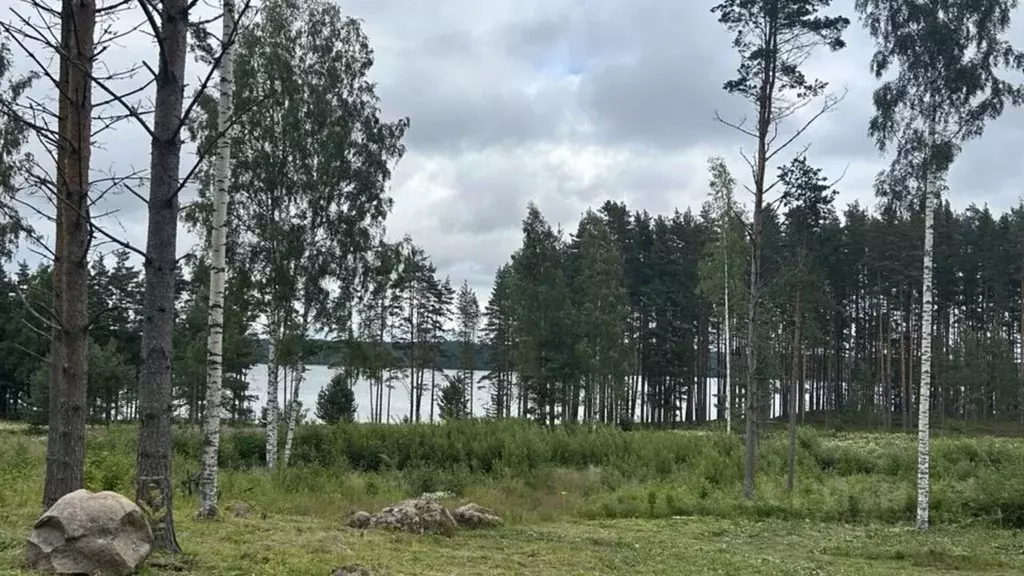 Участок в Ленинградская область, Приозерский район, Громовское с/пос, ... - Фото 1