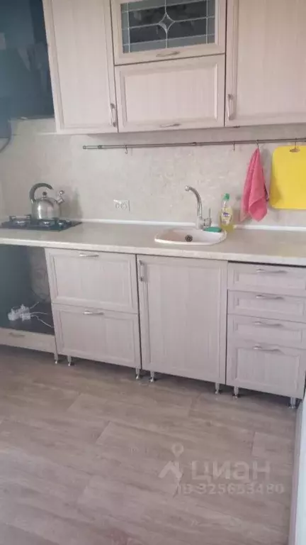 1-к кв. Алтайский край, Барнаул ул. Попова, 59 (30.4 м) - Фото 2