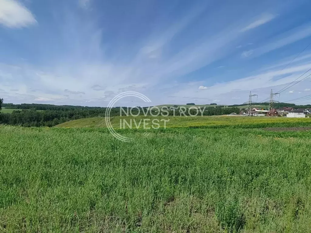 Участок в Красноярский край, Емельяновский район, с. Шуваево ул. 40 ... - Фото 1